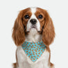 Bandana - Pawsh