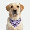 Bandana - Pawsh