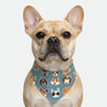 Bandana - Pawsh