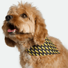 Bandana - Pawsh