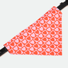 Bandana - Pawsh