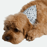 Bandana - Pawsh
